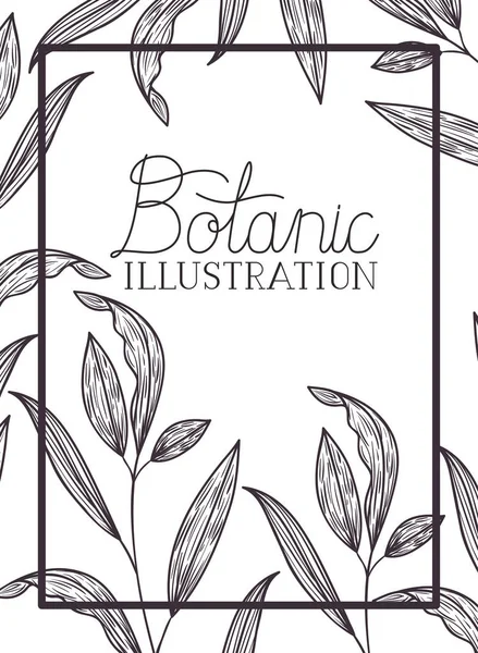 Étiquette d'illustration botanique avec des plantes — Image vectorielle