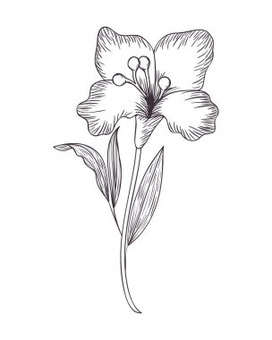 çiçekler ve yapraklar izole simgesi