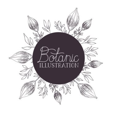 bitkiler botanik illüstrasyon etiketle