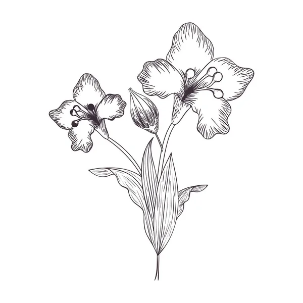 Fleurs et feuilles icône isolée — Image vectorielle