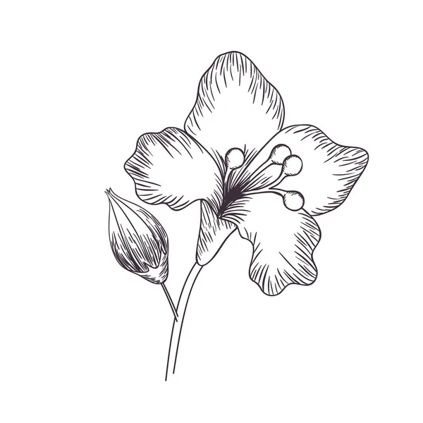 Λουλούδια και φύλλα απομονωμένες εικονίδιο — Διανυσματικό Αρχείο