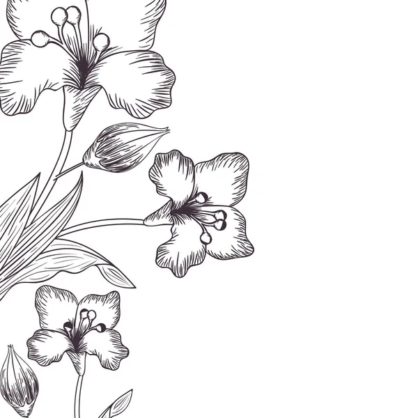 Motif fleurs et feuilles icône isolée — Image vectorielle