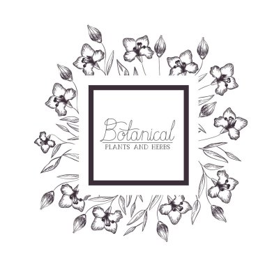 bitkiler ve otlar ile botanik etiket