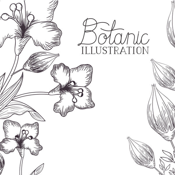 ботаническая этикетка с растениями
