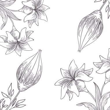 desen bitkiler ve otlar izole simgesi