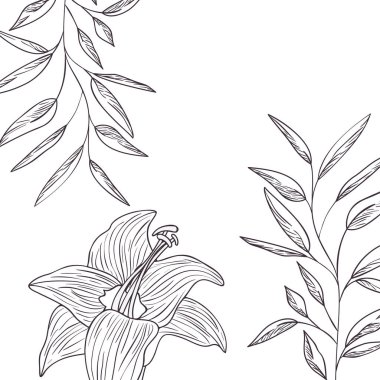 desen bitkiler ve otlar izole simgesi