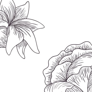 desen bitkiler ve otlar izole simge vektör çizim tasarım