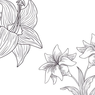 desen bitkiler ve otlar izole simgesi