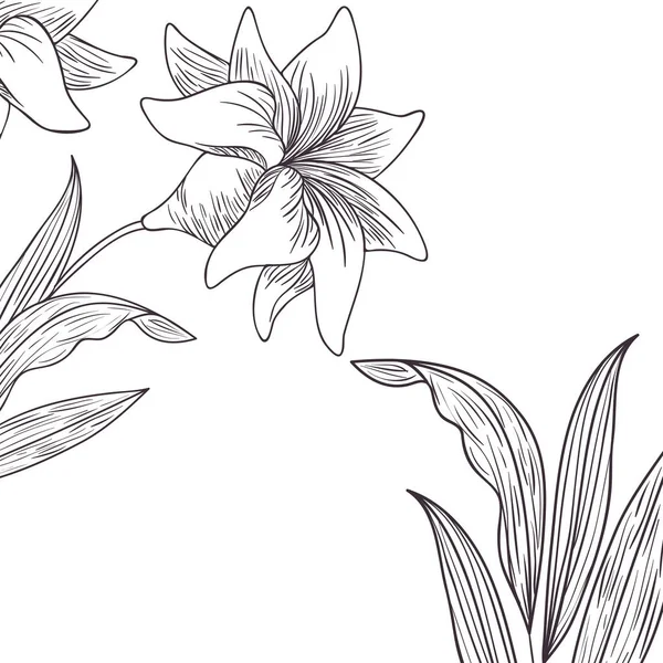 Motif plantes et herbes icône isolée — Image vectorielle