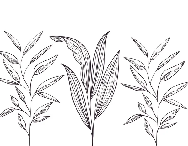 Шаблоны растений и трав — стоковый вектор
