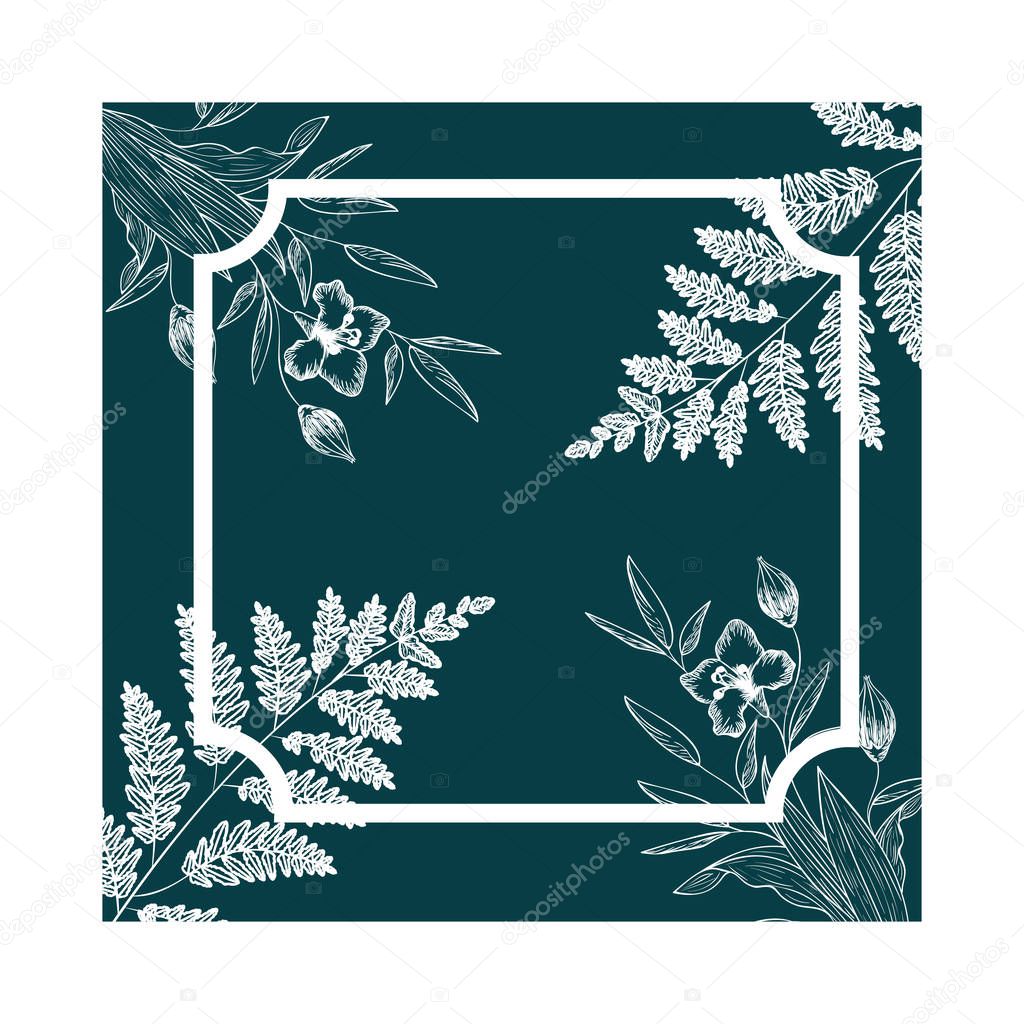 frame with plants and herbs isolated icon