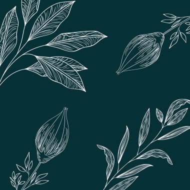 desen bitkiler ve otlar izole simgesi