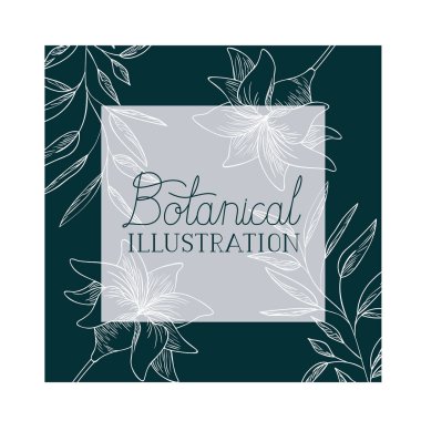 bitkiler botanik illüstrasyon etiketle