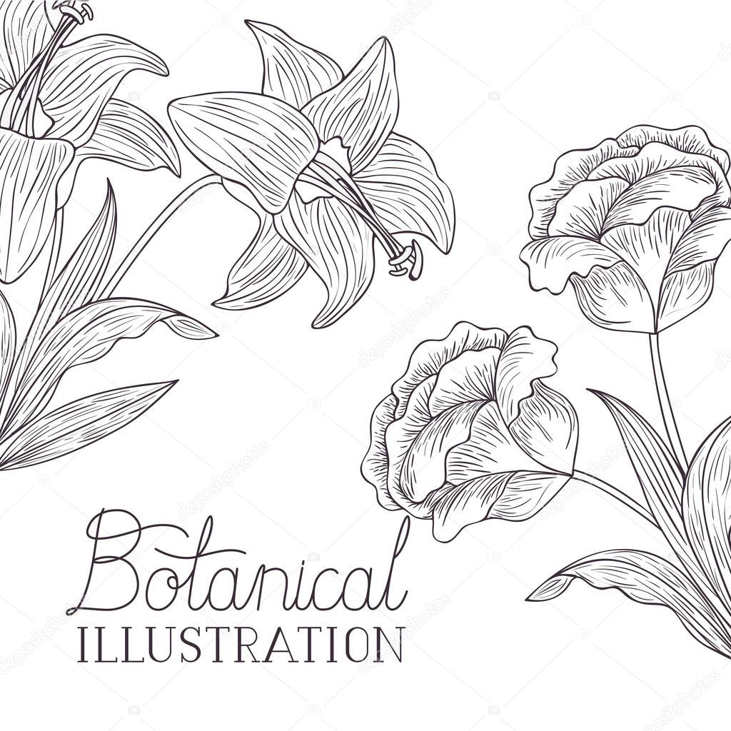 botanical illustration label with plants