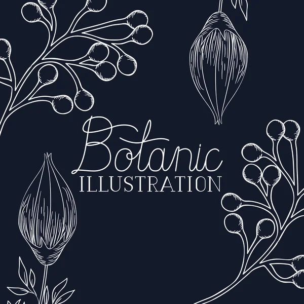 Botanische Illustration Etikett mit Pflanzen — Stockvektor