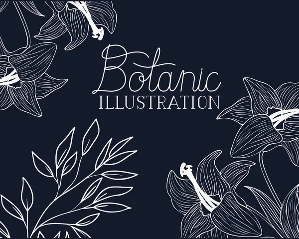 Botanic illustratie label met planten — Stockvector