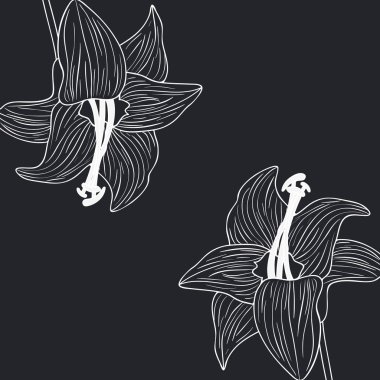 desen bitkiler ve otlar izole simgesi