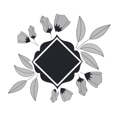 bitkiler ve otlar izole simgesi olan çerçeve