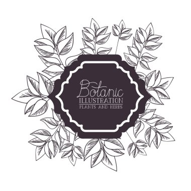 bitkiler ve otlar ile botanik resimde etiketi