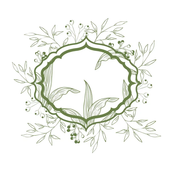 Cadre avec des plantes et des herbes icône isolée — Image vectorielle