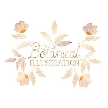 bitkiler botanik illüstrasyon etiketle