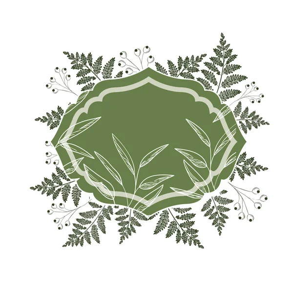 Frame with plants and herbs isolated icon — Stock Vector