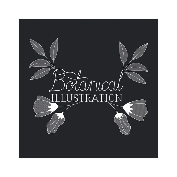 Label ilustrasi botani dengan tanaman - Stok Vektor