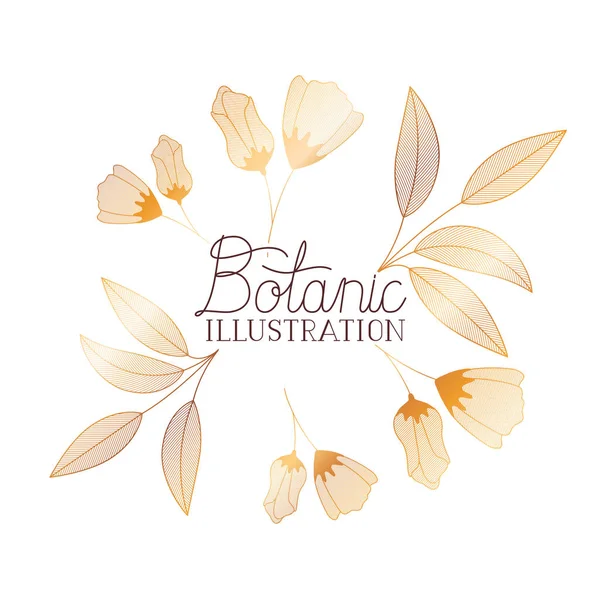 Botanická ilustrace popisek s rostlinami — Stockový vektor