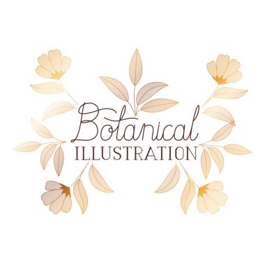 bitkiler botanik illüstrasyon etiketle