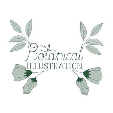 bitkiler botanik illüstrasyon etiketle