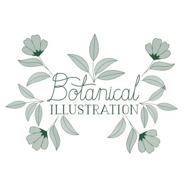 bitkiler botanik illüstrasyon etiketle