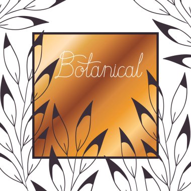 bitkiler izole simgesi olan botanik etiket