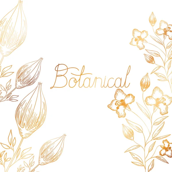 Botaniska etikett med växter isolerade ikon — Stock vektor