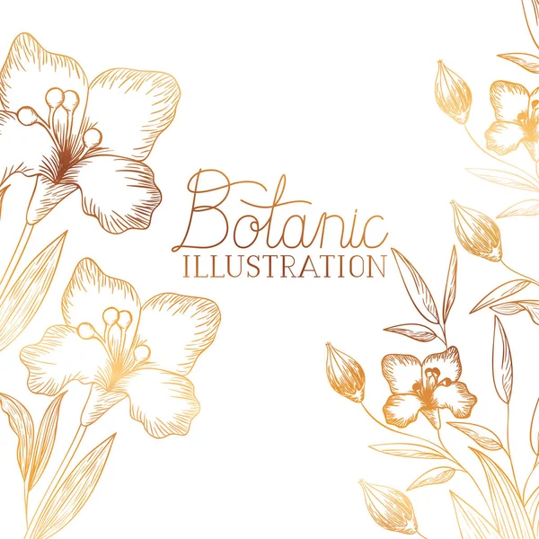Étiquette d'illustration botanique avec des plantes — Image vectorielle