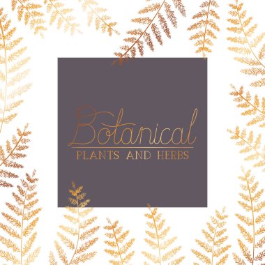 bitkiler ve otlar ile botanik etiket