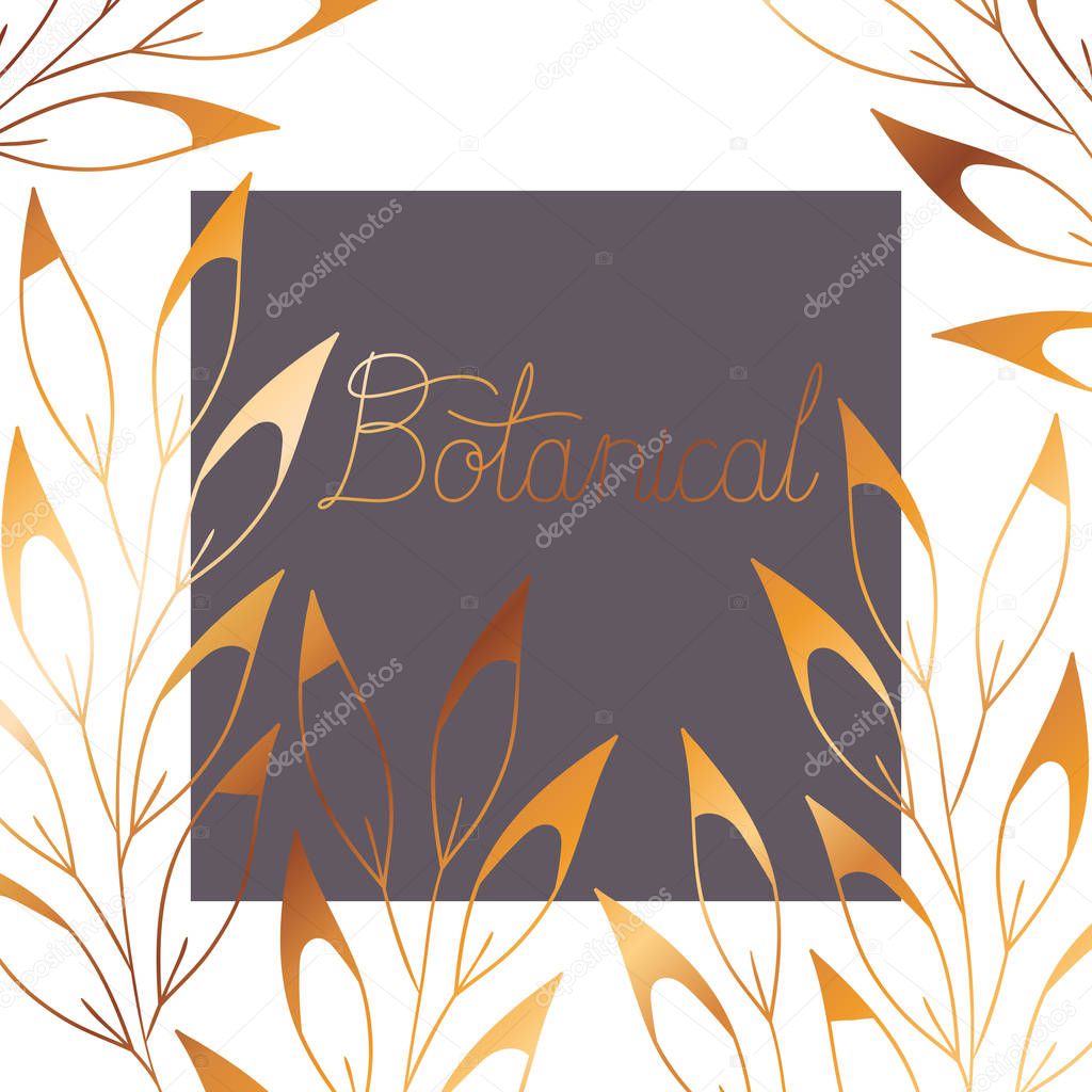 botanical label with plants isolated icon