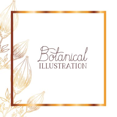 bitkiler botanik illüstrasyon etiketle