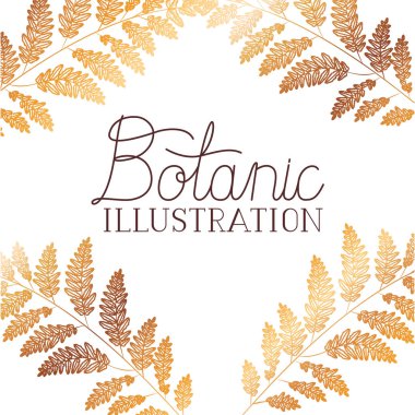 bitkiler botanik illüstrasyon etiketle