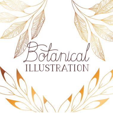 bitkiler botanik illüstrasyon etiketle