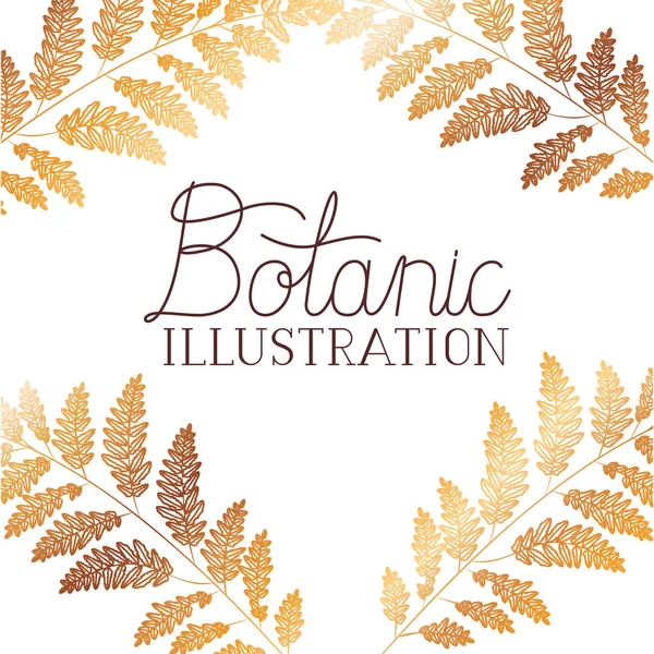 Botanic illustratie label met planten — Stockvector