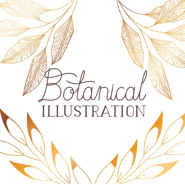 bitkiler botanik illüstrasyon etiketle