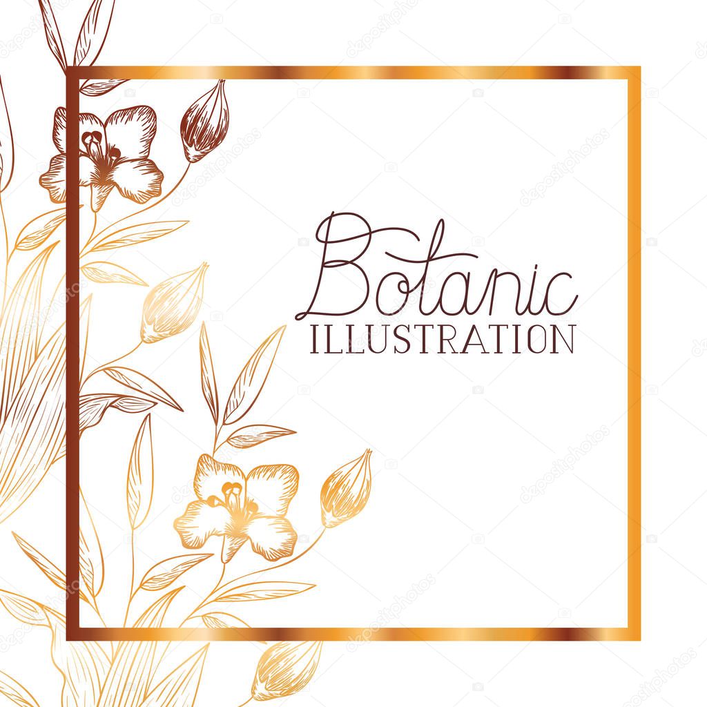 botanic illustration label with plants
