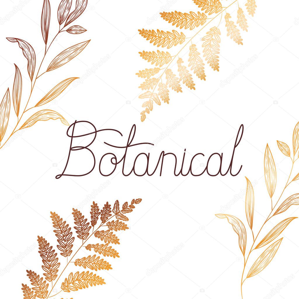 botanical label with plants isolated icon