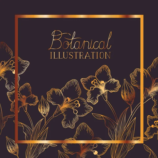 Etykieta ilustracja botaniczna rośliny — Wektor stockowy