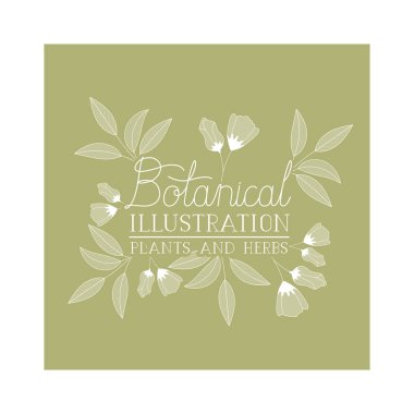 bitkiler ve otlar ile botanik resimde etiketi