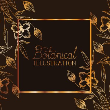 bitkiler botanik illüstrasyon etiketle