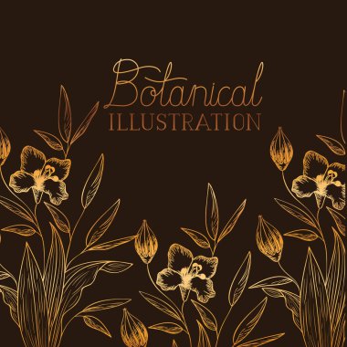 bitkiler botanik illüstrasyon etiketle