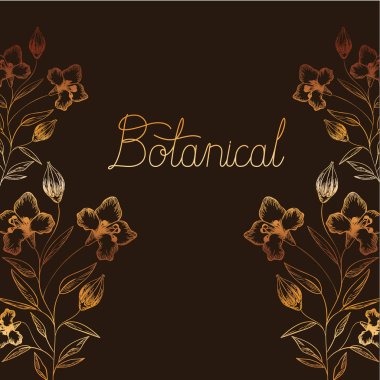 bitkiler izole simgesi olan botanik etiket