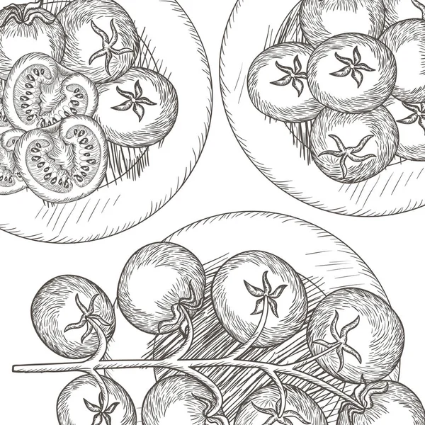 Köstliche Tomate in der Zeichnung isoliert Symbol — Stockvektor