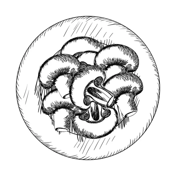 Delicioso champignon no desenho ícone isolado — Vetor de Stock